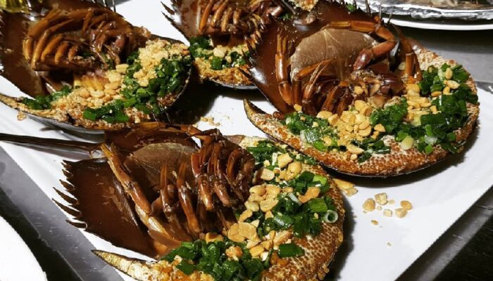 Horseshoe-crab-sam-bien